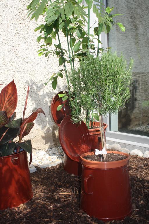 Zur Weinlaube Villa Mönchhof Екстериор снимка