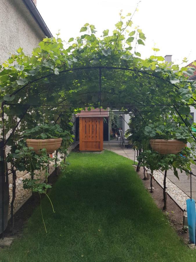 Zur Weinlaube Villa Mönchhof Екстериор снимка